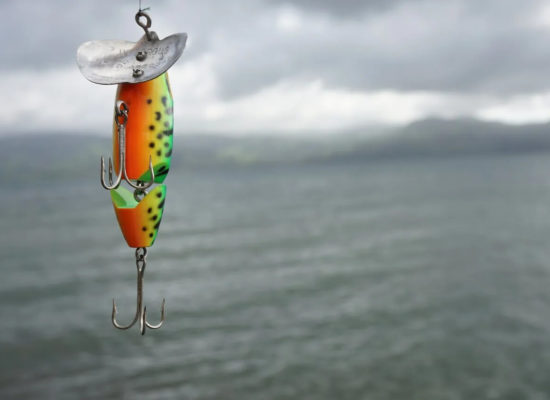 A coloured fish hook using for fishing